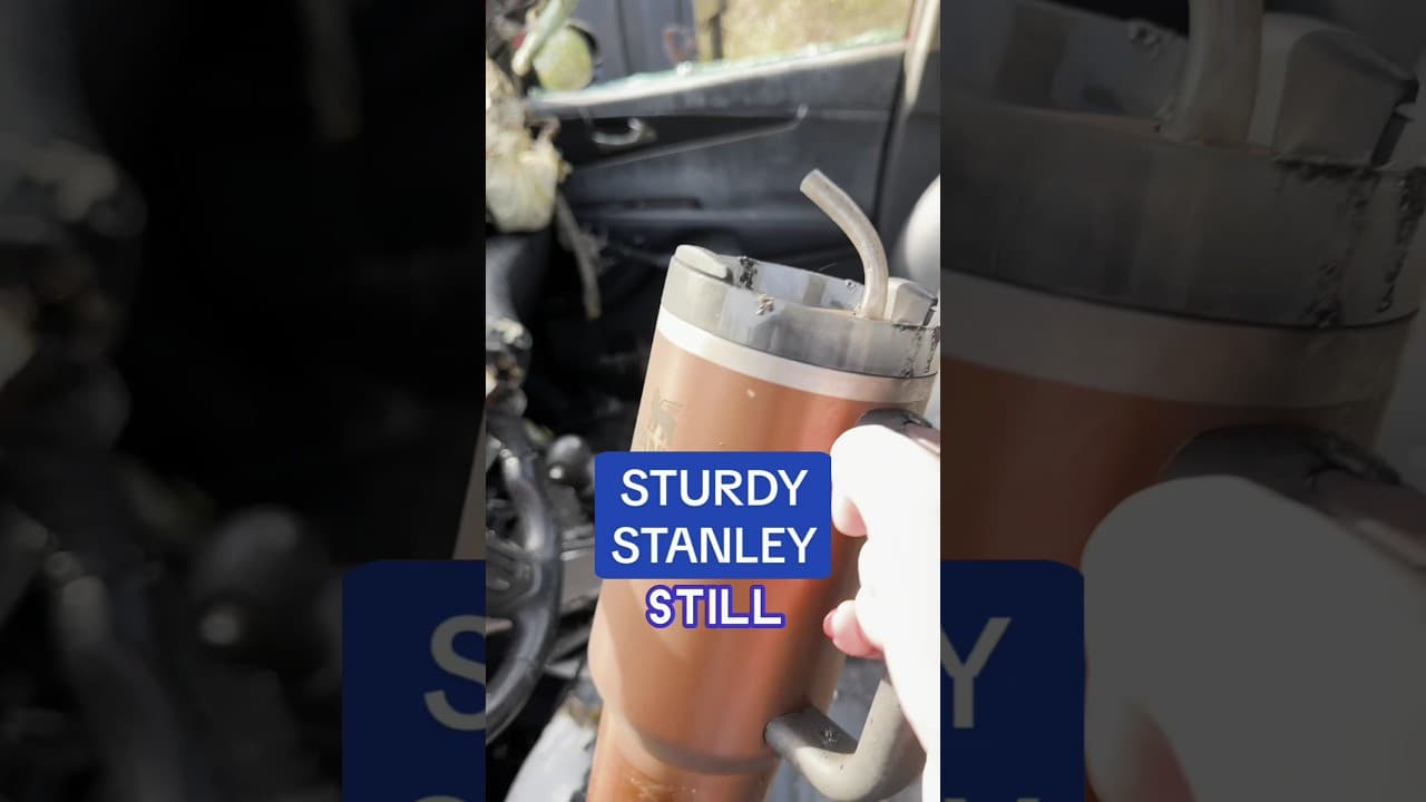 스탠리 텀블러가 '설명 없이' 바이럴 된 구조